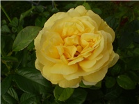 6b70bd08-Picture 318.jpg